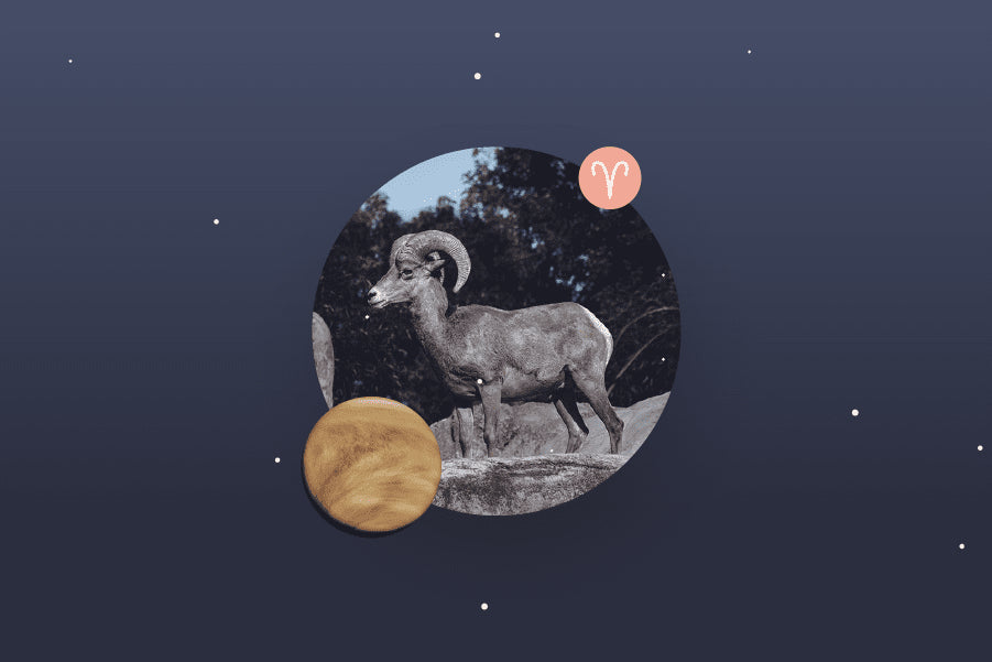 Venus in Aries - Aries Venus Sign and Venus in Aries Transit Meanings