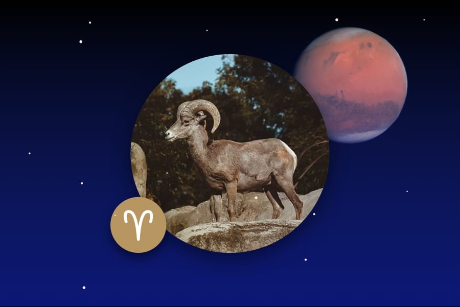Mars in Aries - Transit and Natal Chart Meanings