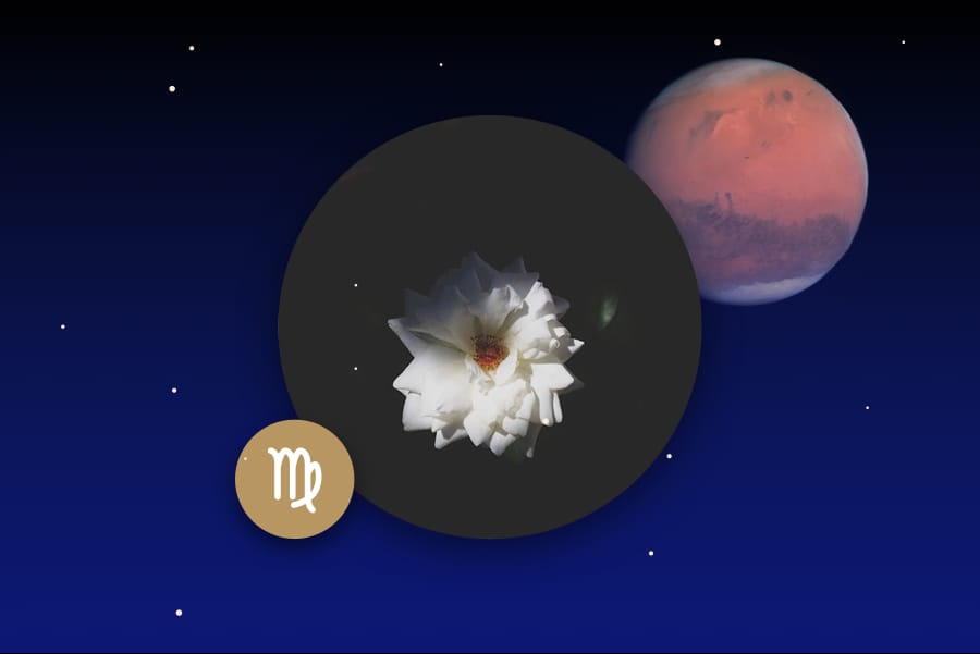 Mars in Virgo - Transit and Natal Chart Meaning