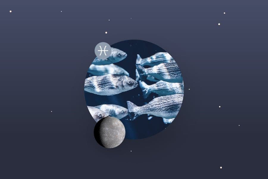 Mercury in Pisces - Pisces Mercury Sign and Mercury in Pisces Transit Meanings
