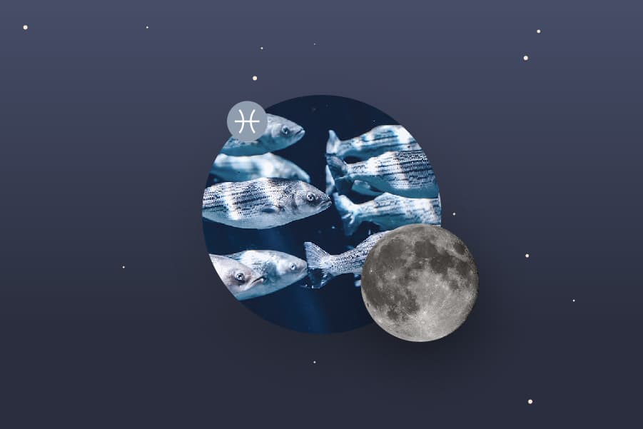 The Pisces Moon - Pisces Moon Sign and Moon in Pisces Transit Meanings