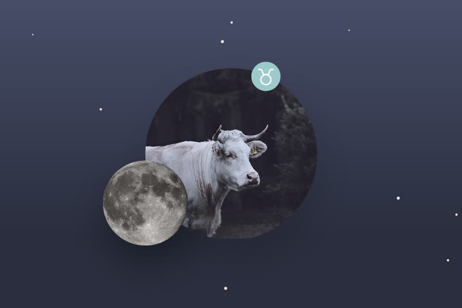 The Taurus Moon - Taurus Moon Sign and Moon in Taurus Transit Meanings