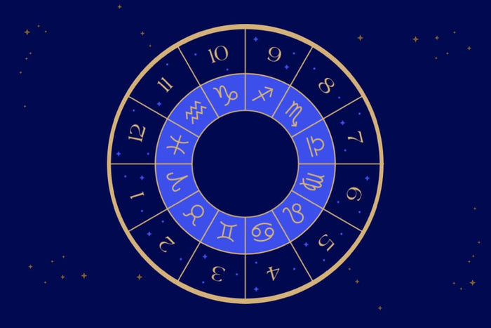 The 12 Houses of Astrology - Learn Astrology and How Houses Affect Your Natal Chart Full Infographic