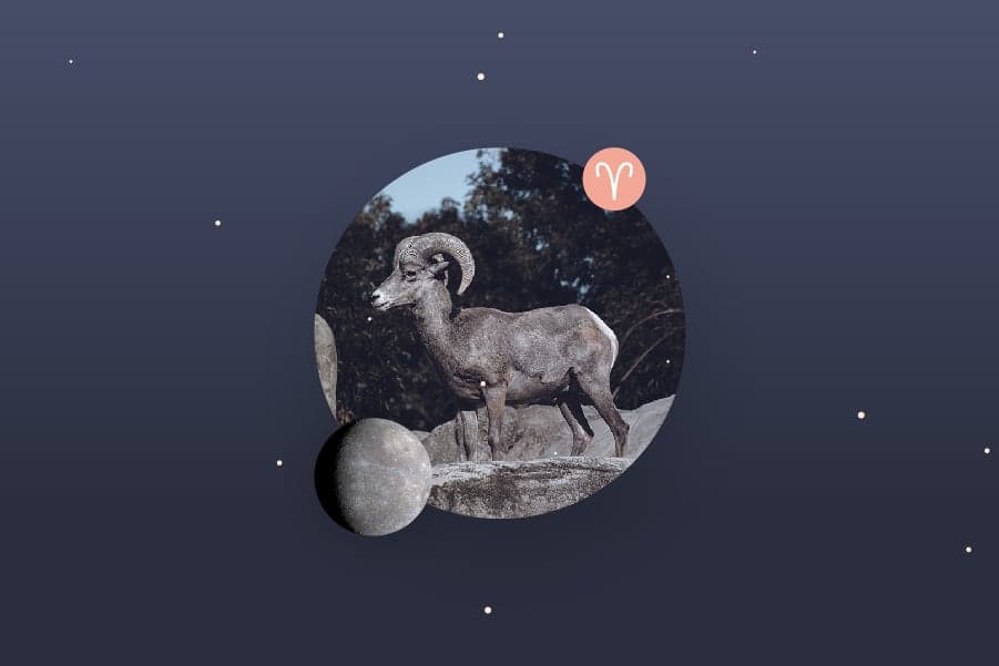 Mercury in Aries - Aries Mercury Sign and Mercury in Aries Transit Meanings