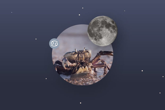 The Cancer Moon - Cancer Moon Sign and Moon in Cancer Transit Meanings