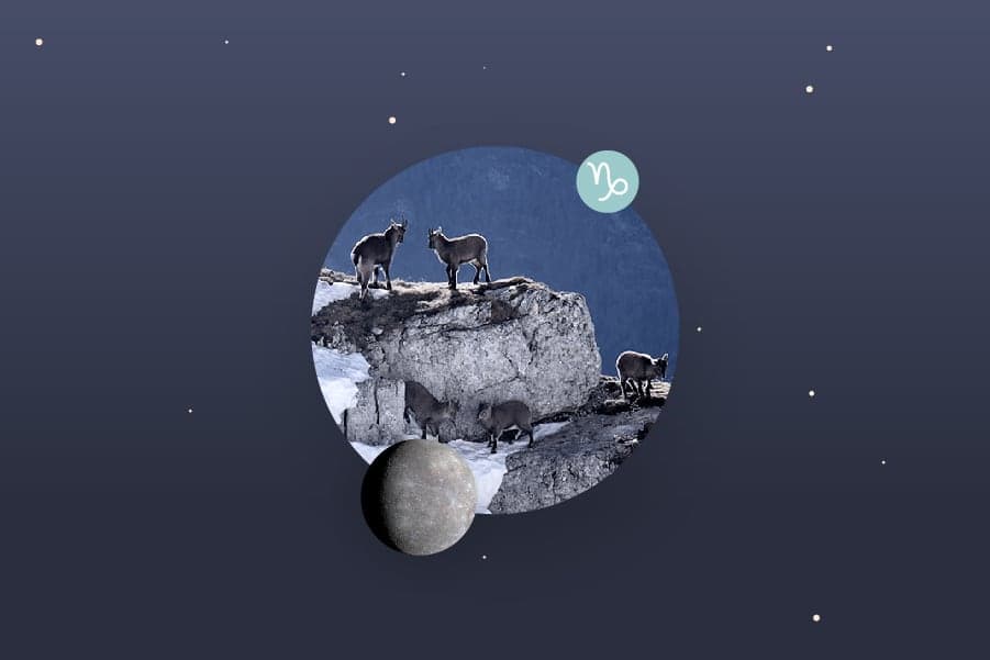 Mercury in Capricorn - Capricorn Mercury Sign and Mercury in Capricorn Transit Meanings