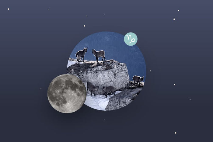 Capricorn Moon Sign and Moon in Capricorn Transit Meanings Infographic