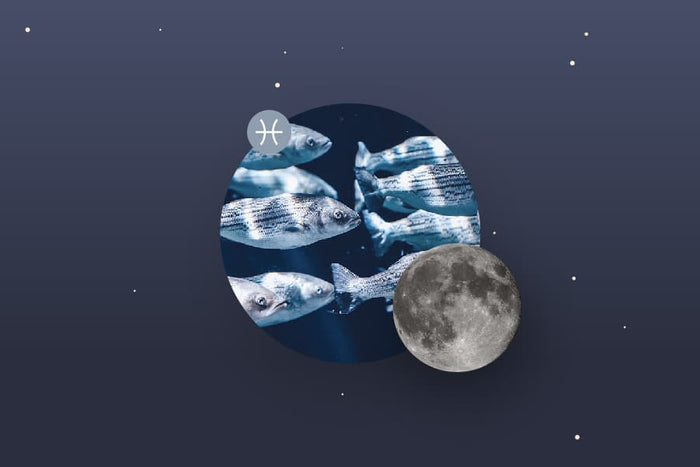 The Pisces Moon - Pisces Moon Sign and Moon in Pisces Transit Meanings
