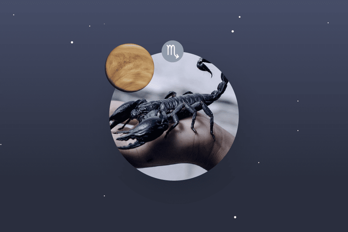 Venus in Scorpio - Scorpio Venus Sign and Venus in Scorpio Transit Meanings