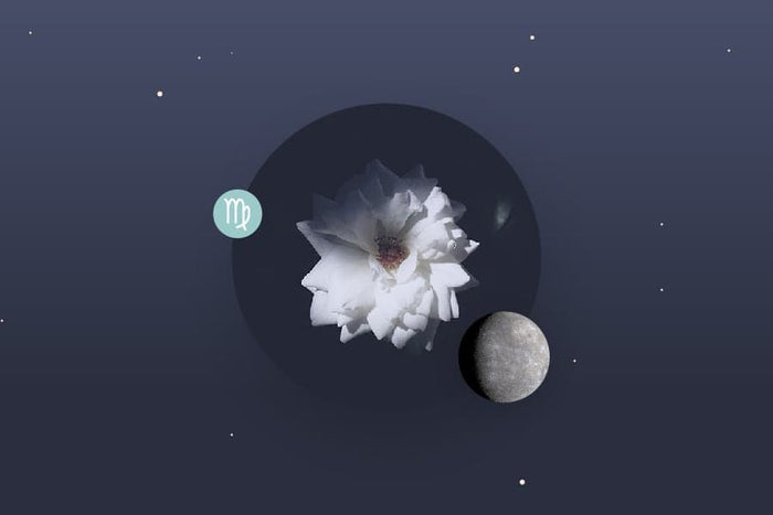 Mercury in Virgo - Virgo Mercury Sign and Mercury in Virgo Transit Meanings
