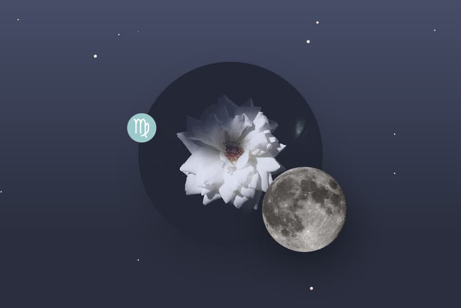 The Virgo Moon - Virgo Moon Sign and Moon in Virgo Transit Meanings