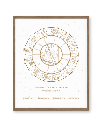 Custom Astrology Birth Chart - White